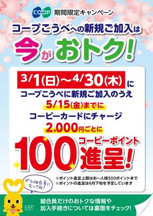 新規ご加入は今がおトク！のチラシ画像