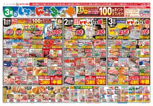 3/1号チラシのチラシ画像