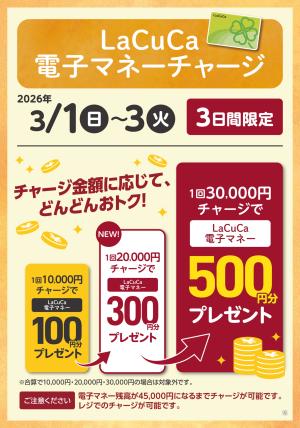3/1〜3/3LaCuCa特別企画のチラシ画像