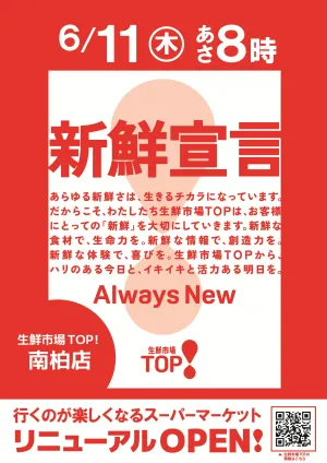 南柏店　6月11日（木）リニューアルOPENのチラシ画像