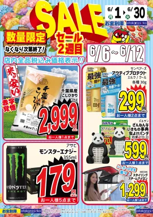 6月セール！第2弾！のチラシ画像