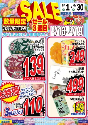 6月セール！第3弾！のチラシ画像