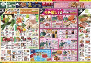 5/23号のチラシ画像