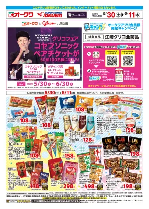 グリコフェア×コヤブソニックのチラシ画像