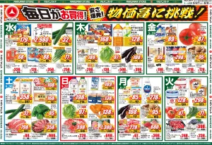 肉のBIGSALE 韓国フェアのチラシ画像