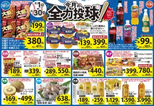 6月 今月の全力投球&毎日いい値 今月1ヶ月間限定!緊急値下げのチラシ画像
