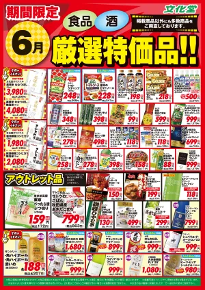 ６月厳選特価品のチラシ画像