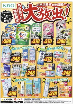 6/1(月)〜6/9(火)　「花王WEBチラシ」のチラシ画像