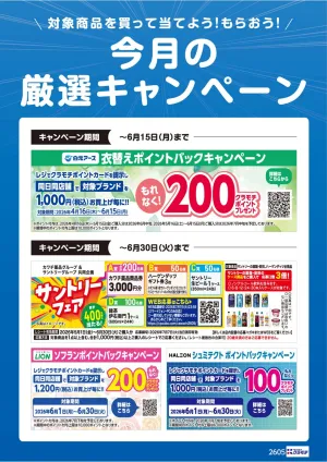 今月の厳選キャンペーン！のチラシ画像