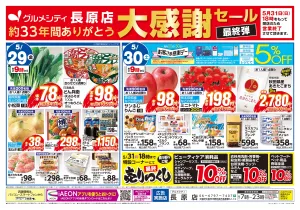 【グルメシティ長原店 大感謝セール】のチラシ画像