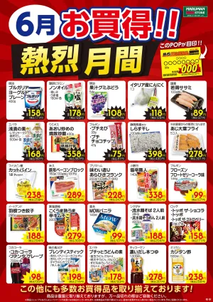 6月熱烈月間ポスターのチラシ画像