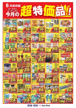 6月の超特価品のチラシ画像