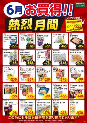 6月熱烈月間ポスターのチラシ画像