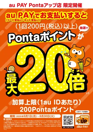 Pontaポイント最大20倍キャンペーン！のチラシ画像