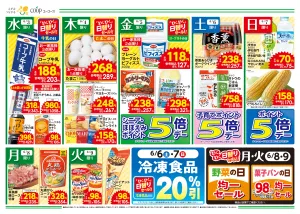 6月は環境月間　6月5日「世界環境デー」　じめじめ梅雨にピッタリ！さっぱりメニュー　毎月第１日曜ポイント5倍デー　ドレッシング１０％引のチラシ画像