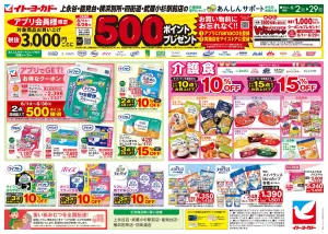 6/2(火)〜6/29(月)　あんしんサポートチラシのチラシ画像