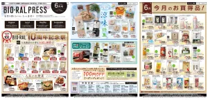 BIORAL PRESS 6月号のチラシ画像