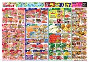 今が美味しい、初夏の恵のチラシ画像