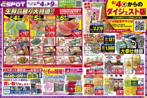 生鮮日替り大特価！！ダイジェスト版！のチラシ画像