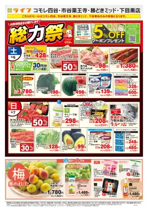 6/6号　総力祭/梅集めましたのチラシ画像