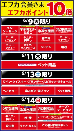 6/9〜エフカポイント10倍商品のご案内のチラシ画像