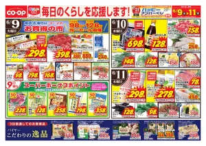 6月9日〜6月11日 毎日のくらしを応援します!のチラシ画像