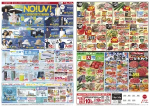 6月4日(木)〜6月14日(日)のチラシ画像