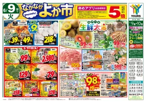6/9(火)-6/12(金)_のチラシ画像