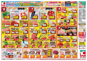 初夏の涼味メニュー＿のチラシ画像