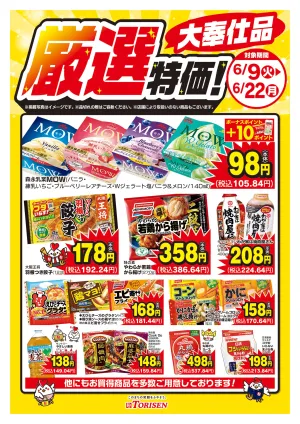 厳選特価！6/22まで_のチラシ画像