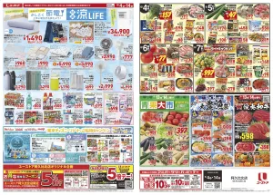 6月4日(木)〜6月14日(日)のチラシ画像