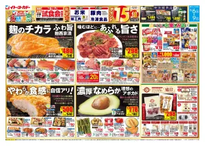 6/6(土)〜6/9(火)　ハトの大感謝祭のチラシ画像