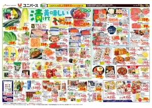 漬けて美味しいのチラシ画像