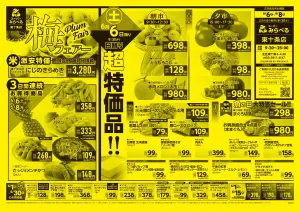 6/6〜6/8販売分のチラシ画像