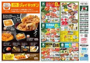 ジョイフーズ（春日部南・藤ノ木・牛久・越谷大袋・越谷登戸）★6/9〜6/15★のチラシ画像