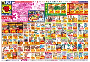 6/7(日)〜6/13(土)のチラシ画像