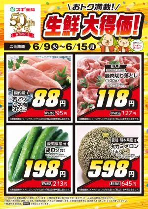 チラシのご案内のチラシ画像