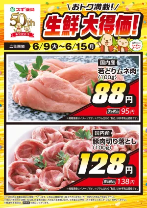 チラシのご案内のチラシ画像
