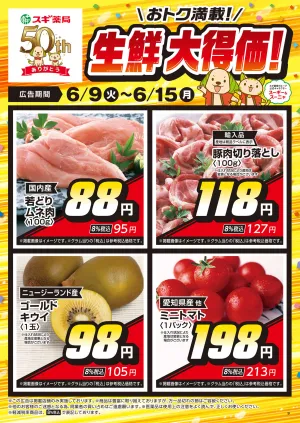 チラシのご案内のチラシ画像