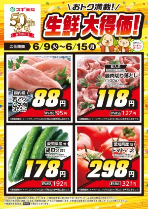 チラシのご案内のチラシ画像
