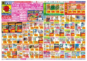 6/7(日)〜6/13(土)のチラシ画像