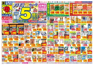6/7(日)〜6/13(土)のチラシ画像
