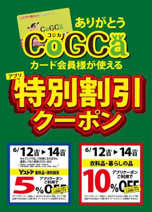 コジカ会員様が使える「アプリクーポン」開催のチラシ画像