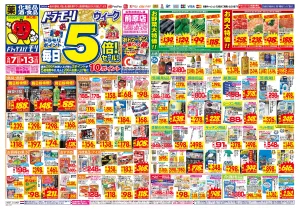 6/7(日)〜6/13(土)のチラシ画像