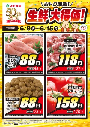 チラシのご案内のチラシ画像