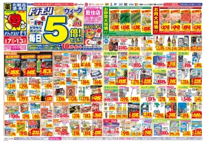 6/7(日)〜6/13(土)のチラシ画像
