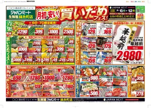 6月6日号のチラシ画像