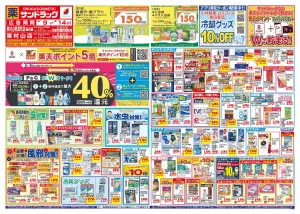 6月2週目のチラシ画像