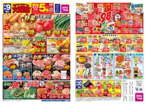6/9(火)-6/10(水)_のチラシ画像