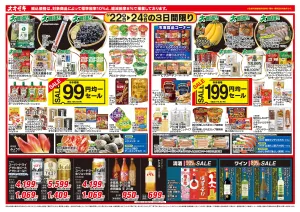 6/22（月）〜6/24（水）のチラシ画像